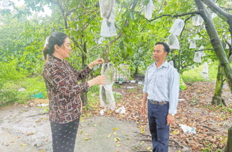 បង្វែរ​រចនា​សម្ព័ន្ធ​ពូជ​ដំ​ណាំ ផ្ដល់​ប្រ​សិទ្ធ​ភាព​សេដ្ឋ​កិច្ច