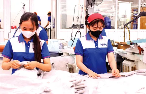 Cần Thơ có 266 doanh nghiệp xuất nhập khẩu