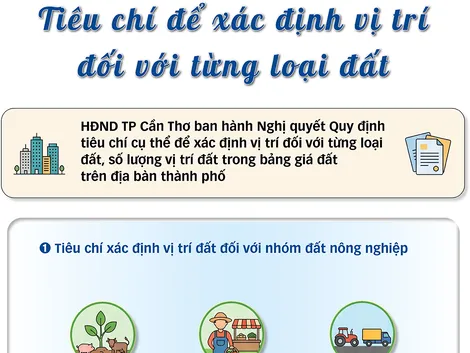 [INFOGRAPHICS] Tiêu chí để xác định vị trí đối với từng loại đất