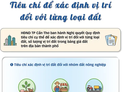 [INFOGRAPHICS] Tiêu chí để xác định vị trí đối với từng loại đất