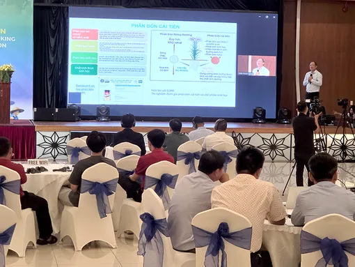 Kết nối chuỗi cung ứng phân bón trong canh tác lúa theo Đề án 1 triệu héc-ta lúa chất lượng cao và phát thải thấp