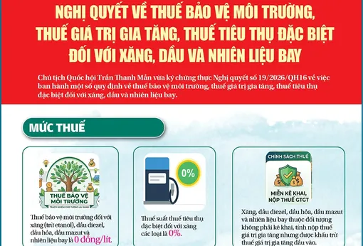 [INFOGRAPHICS] - Nghị quyết về thuế bảo vệ môi trường, thuế giá trị gia tăng, thuế tiêu thụ đặc biệt đối với xăng, dầu và nhiên liệu bay