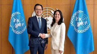 Việt Nam nỗ lực thúc đẩy Hội nghị kiểm điểm NPT đạt kết quả thực chất