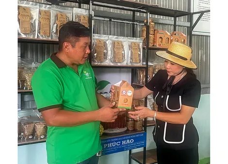Phát triển sản phẩm OCOP gắn với xây dựng nông thôn hiện đại
