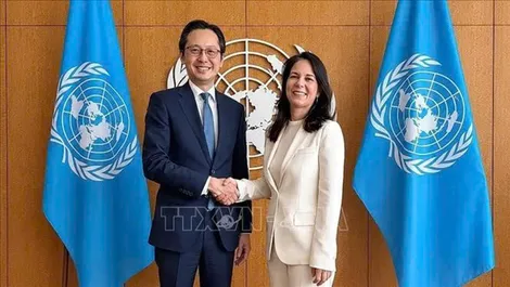 Việt Nam nỗ lực thúc đẩy Hội nghị kiểm điểm NPT đạt kết quả thực chất