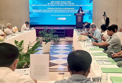 Số hóa cơ giới hóa nông nghiệp phục vụ tối ưu đầu tư, quản lý và nâng cao hiệu quả sản xuất lúa gạo