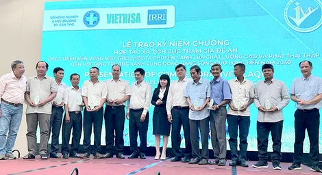 Đánh giá quy trình canh tác, hướng tới cấp nhãn hiệu “Gạo Việt xanh phát thải thấp”