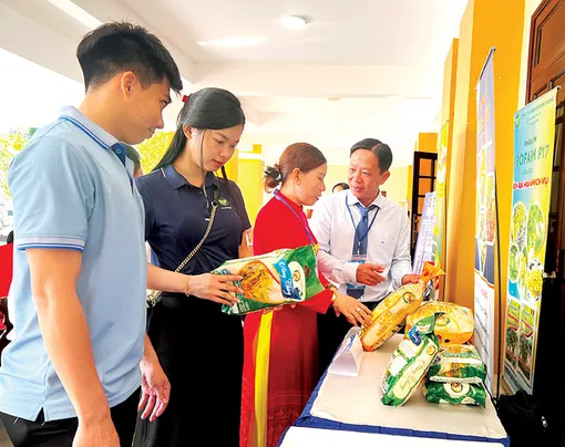 Tăng cường hỗ trợ, nâng cao hiệu quả hoạt động hợp tác xã nông nghiệp