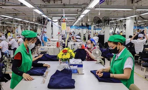 Nhu cầu tuyển dụng tại TP Cần Thơ tiếp tục tăng ở mức cao