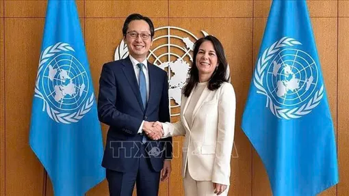 Việt Nam nỗ lực thúc đẩy Hội nghị kiểm điểm NPT đạt kết quả thực chất