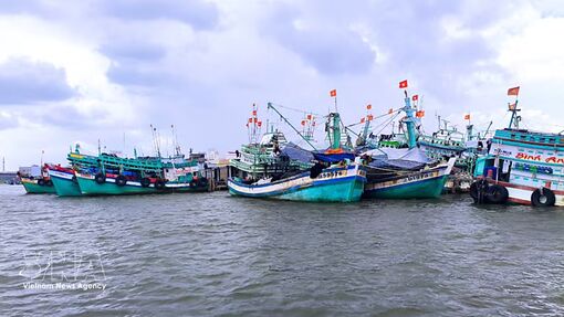 Ca Mau accelerates efforts to remove IUU fishing-related warning through vessel data clean-up