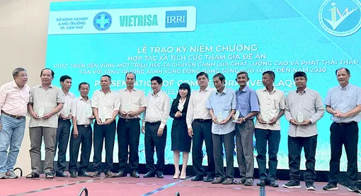 Đánh giá quy trình canh tác, hướng tới cấp nhãn hiệu “Gạo Việt xanh phát thải thấp”