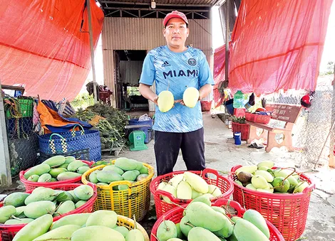 DẠO QUANH THỊ TRƯỜNG (14-5-2026)