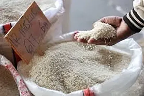 Indonesia ghi nhận lượng dự trữ gạo cao nhất lịch sử