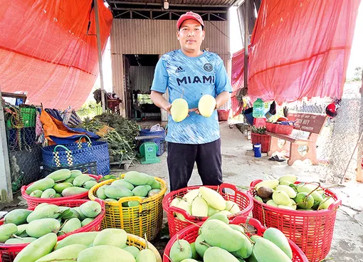 DẠO QUANH THỊ TRƯỜNG (14-5-2026)