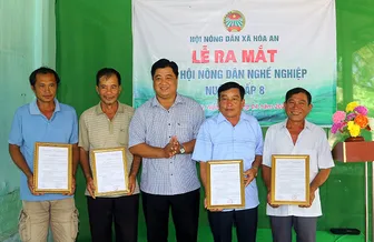 Phát triển mới 25 chi, tổ hội nông dân nghề nghiệp
