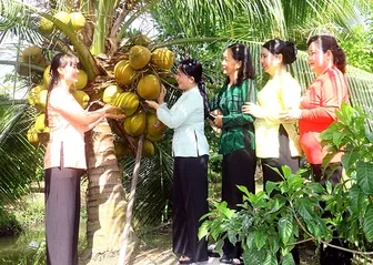 Đổi mới tư duy sản xuất -  đòn bẩy hiện đại hóa kinh tế nông thôn