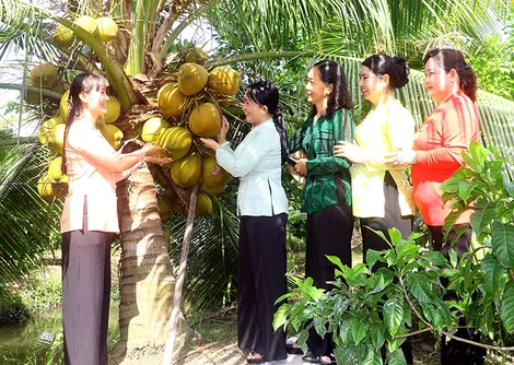 Đổi mới tư duy sản xuất -  đòn bẩy hiện đại hóa kinh tế nông thôn