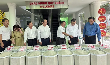 Công bố báo cáo Kinh tế tư nhân Việt Nam và Chỉ số năng lực cạnh tranh cấp tỉnh năm 2025