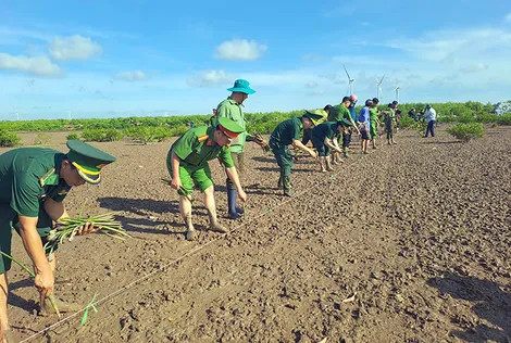 Phát động phong trào “Tết trồng cây đời đời nhớ ơn Bác Hồ”