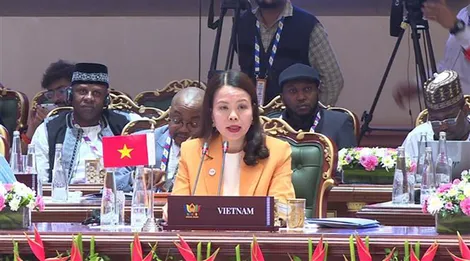 Việt Nam sẵn sàng thúc đẩy kết nối BRICS với khu vực châu Á - Thái Bình Dương