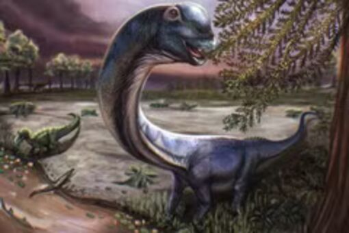 Scientists discover largest dinosaur species ever found in Thailand