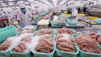 Quản lý an toàn thực phẩm theo chuỗi cần có cơ chế minh bạch
