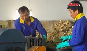 “Sắc phố hồn quê” lan tỏa bản sắc văn hóa trong nhịp sống hiện đại