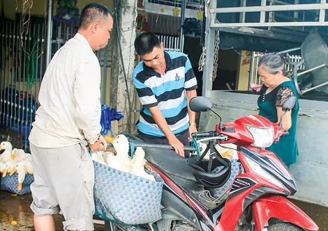 DẠO QUANH THỊ TRƯỜNG (18-5-2026)