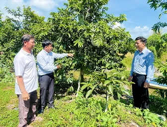 Hiệu quả từ phong trào thi đua Dân vận khéo