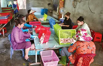 Cơ hội để lao động tự do được hưởng lương hưu