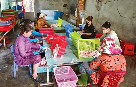 Cơ hội để lao động tự do được hưởng lương hưu
