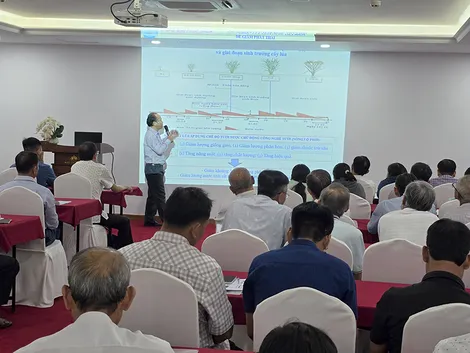 Chuyển giao công nghệ, kiến thức thực hành sản xuất lúa chất lượng cao, hiệu quả bền vững và phòng tránh hạn mặn