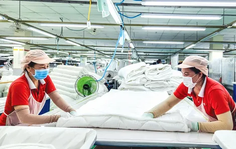 Nâng cao năng lực điều hành, tạo động lực phát triển kinh tế tư nhân
