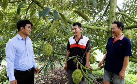 Hỗ trợ, tạo việc làm cho lao động địa phương