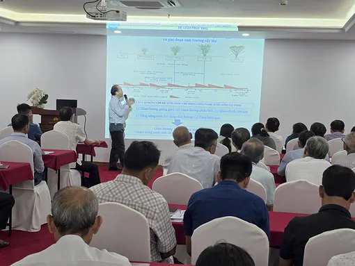 Chuyển giao công nghệ, kiến thức thực hành sản xuất lúa chất lượng cao, hiệu quả bền vững và phòng tránh hạn mặn