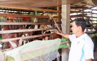ទម្រង់​ញ្ចឹម​ពពែ​ប្រ​កប​ដោយ​ប្រ​សិទ្ធ​ភាព​របស់​បង​ហឿ​ថាញ​ផុង