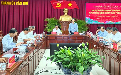 TP Cần Thơ sớm hình thành Trung tâm kết nối, chế biến và xuất khẩu nông sản vùng ĐBSCL