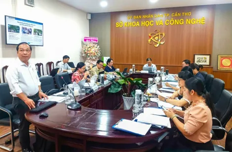 Xây dựng thành công nhãn hiệu và phát triển thương hiệu một số loại trái cây ở Cần Thơ