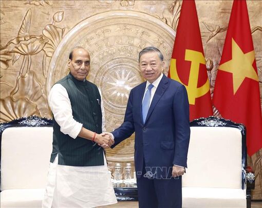 Top Vietnamese leader calls for stronger and more effective defence cooperation with India