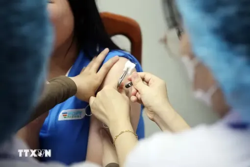 Bộ Y tế: Đưa HPV vào danh mục tiêm chủng bắt buộc từ 1/7/2026