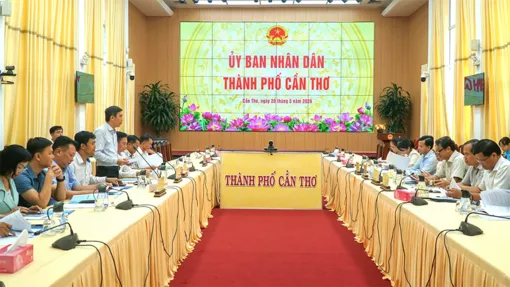 TP Cần Thơ thúc đẩy hợp tác với Trường Đại học Đồng Tháp