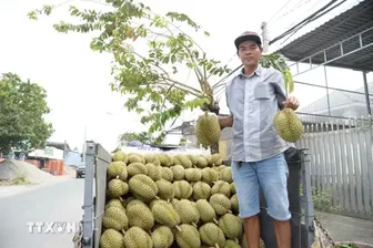 Nhiều hoạt động phong phú, đặc sắc tại Lễ hội trái cây Đồng Tháp lần đầu tiên
