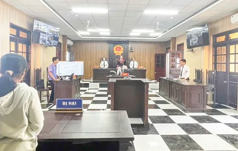 Bi kịch từ việc bẫy chuột bằng điện
