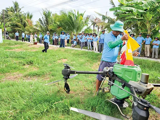 Hỗ trợ nông dân sử dụng phân bón hiệu quả