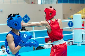 Môn Boxing Đại hội Thể thao toàn quốc lần thứ X thi đấu 27 nội dung