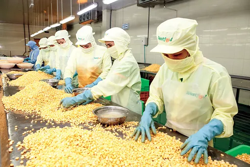 Thị trường thương mại điện tử Việt Nam hướng tới quy mô 37 tỉ USD