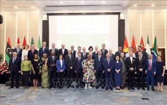 Vietnam seeks deeper cooperation with African countries