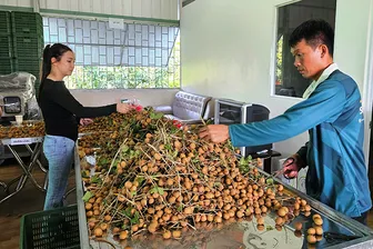 Phát triển các chuỗi cung ứng nông sản, thực phẩm an toàn