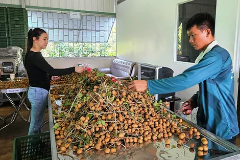 Phát triển các chuỗi cung ứng nông sản, thực phẩm an toàn